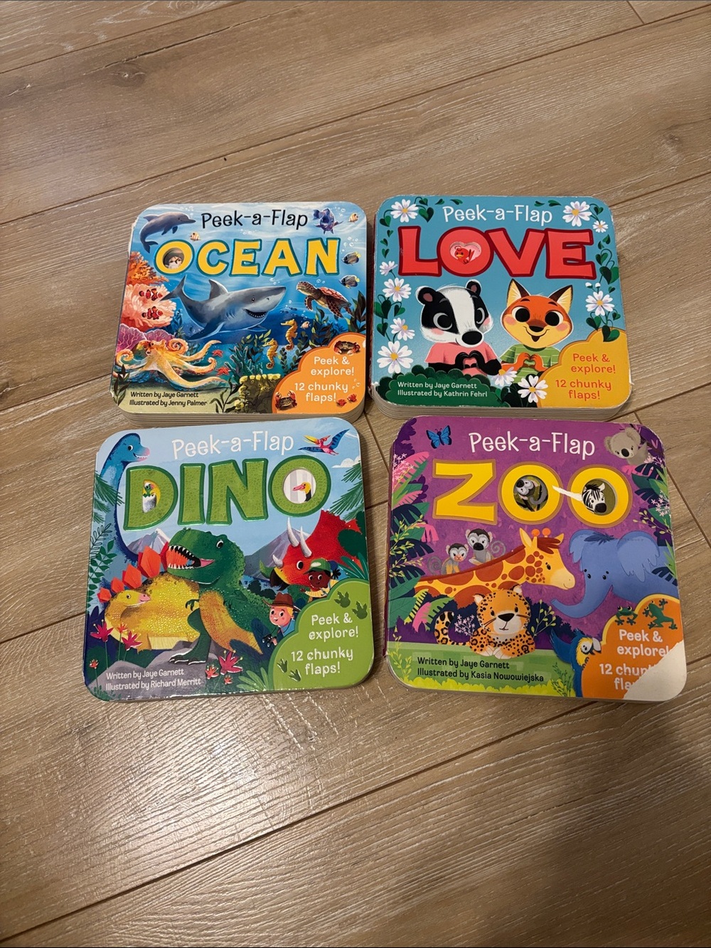 Peek a Flap Kids Books Set!